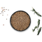 Bio Karwij6