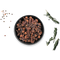 Bio Kruidnagel2